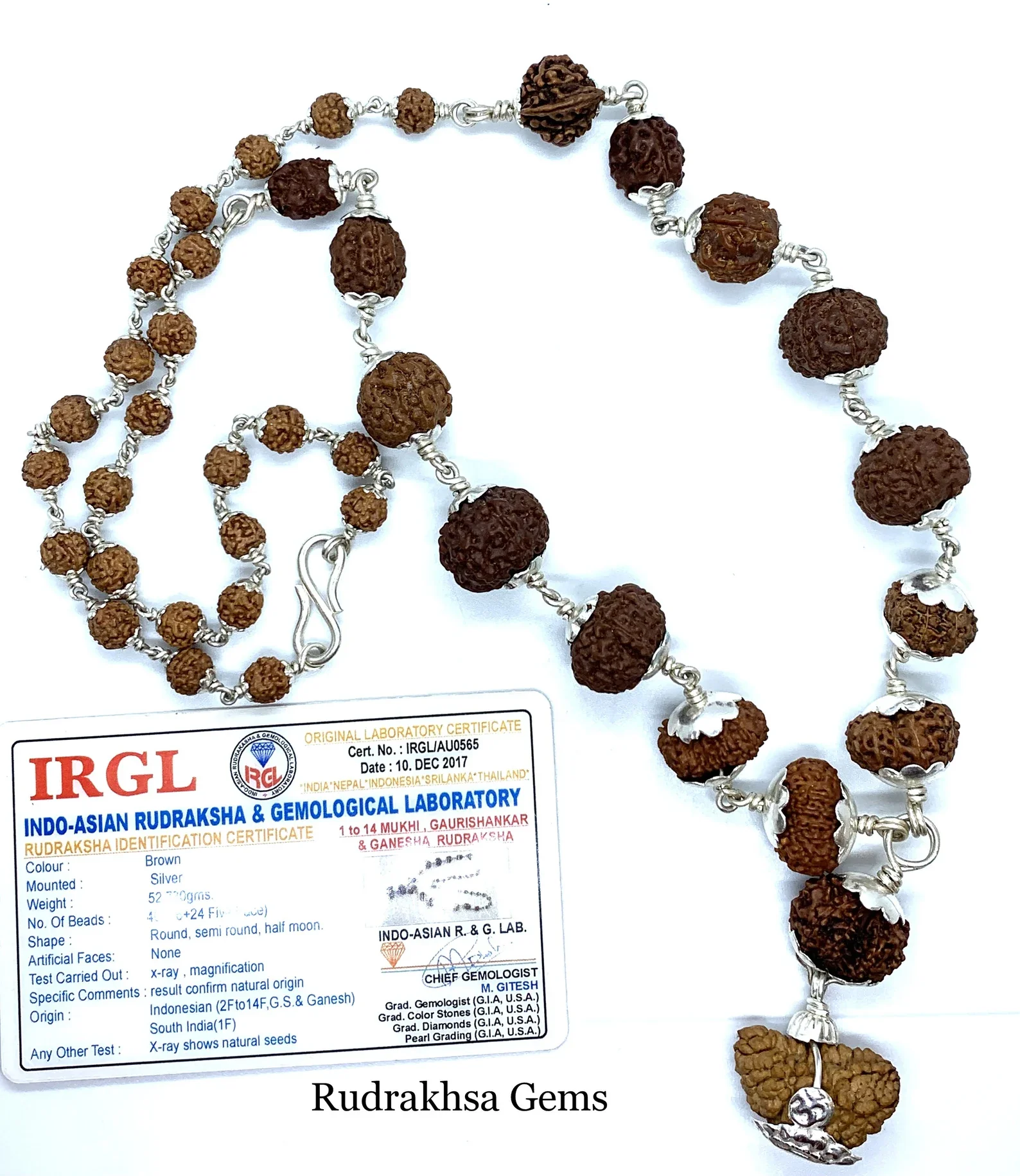 1-14 Mukhi Siddha Mala/Rudraksha Mala - Image 3