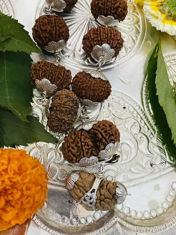 1-21 Mukhi Siddh Mala (1-21 मुखी सिद्ध माला) - Image 3