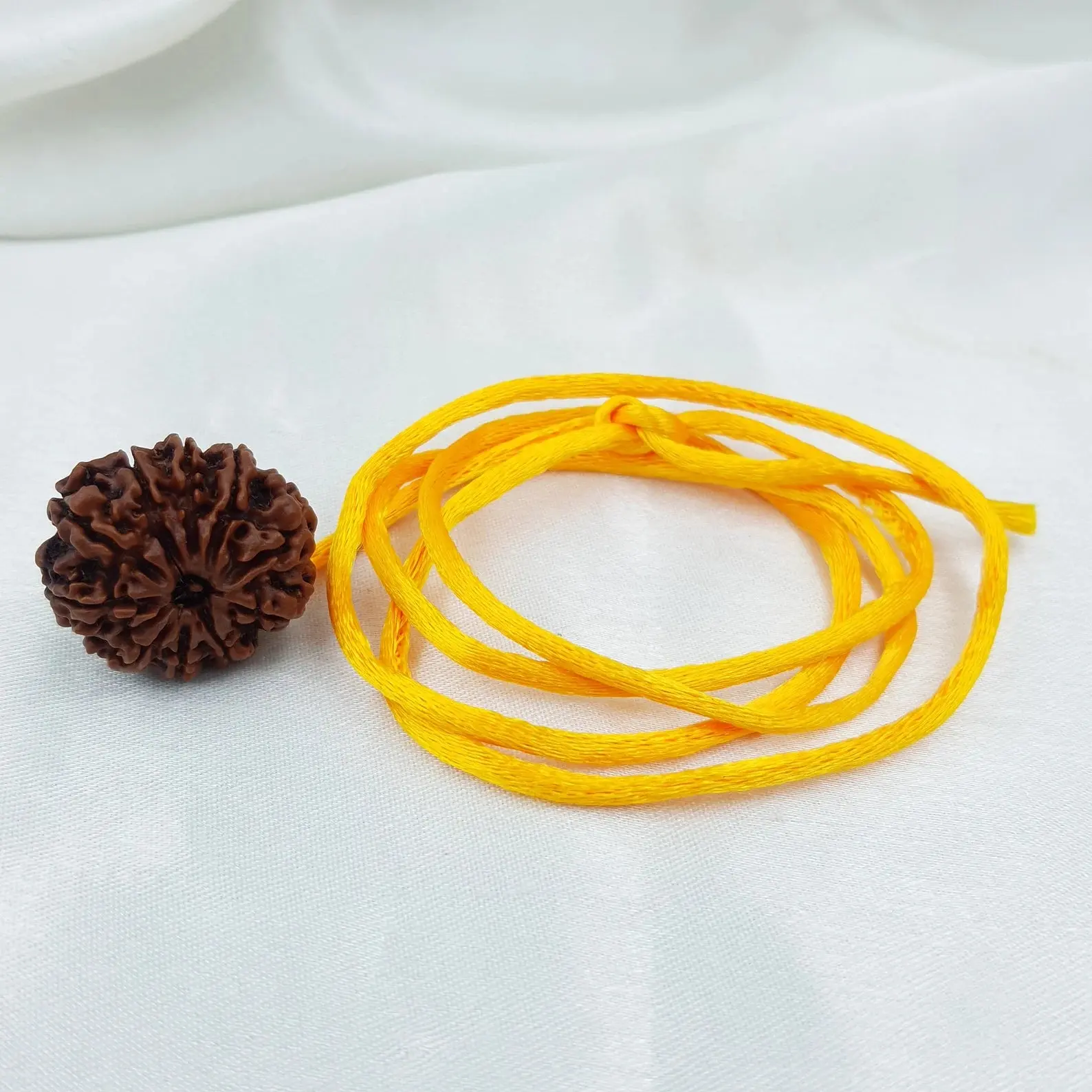 10 Mukhi Rudraksha (दस मुखी रुद्राक्ष ) - Image 3