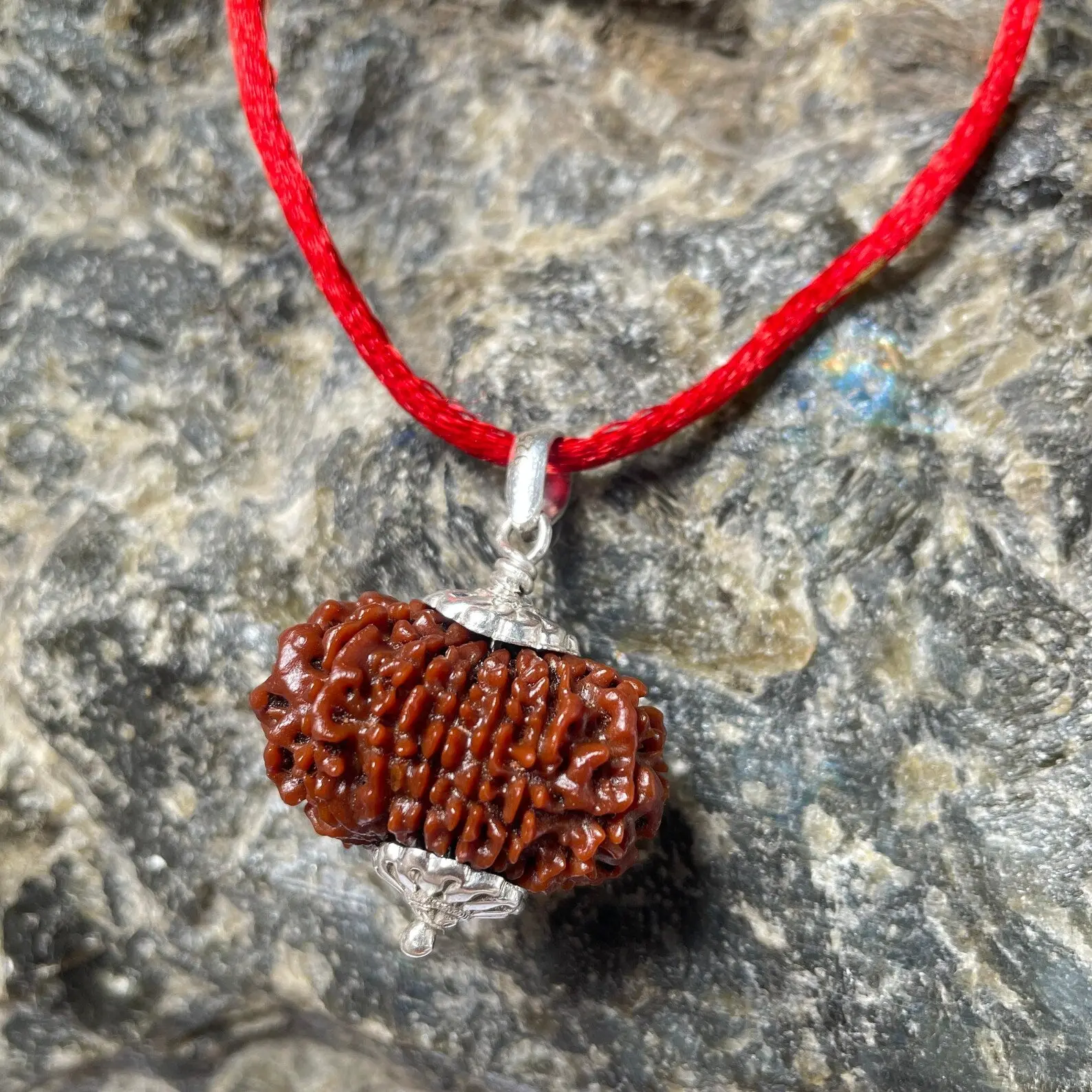 13 MUKHI RUDRAKSHA CERTIFIED NEPALI (तेरह मुखी रुद्राक्ष) - Image 7