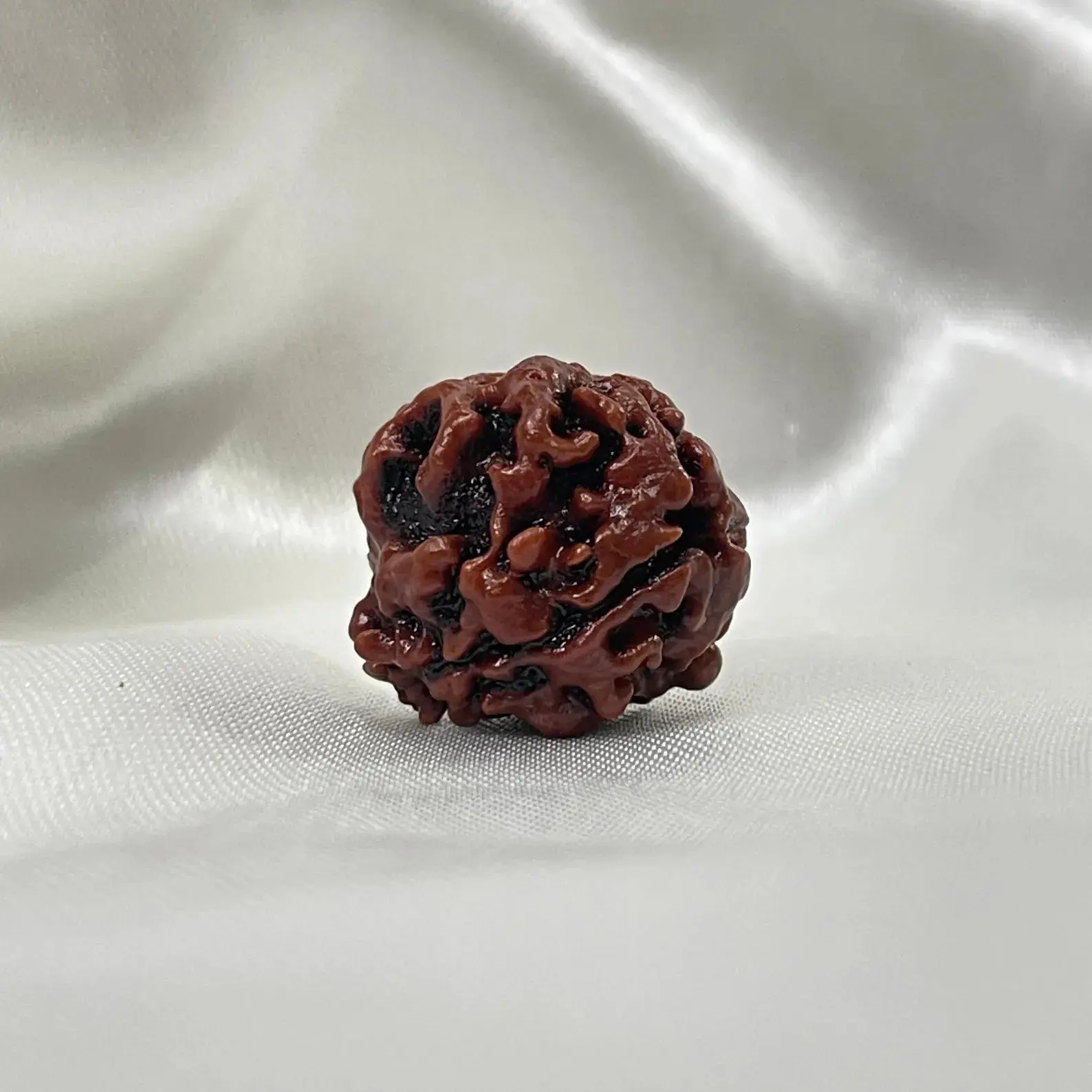 3 Mukhi Rudraksha (рддреАрди рдореБрдЦреА рд░реБрджреНрд░рд╛рдХреНрд╖) - Image 8
