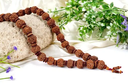 7 Mukhi Nepali Rudraksha Kantha (7 मुखी नेपाली रुद्राक्ष कांठा) - Image 3
