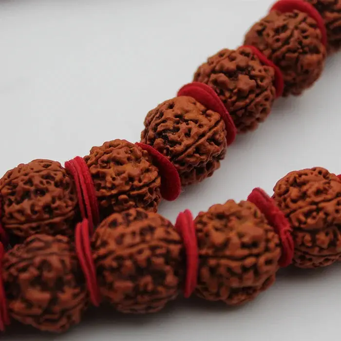 Certified Natural 5 Mukhi Kanthi Rudraksha 54+1 Big Size Beads Mala for Men Women - Image 4