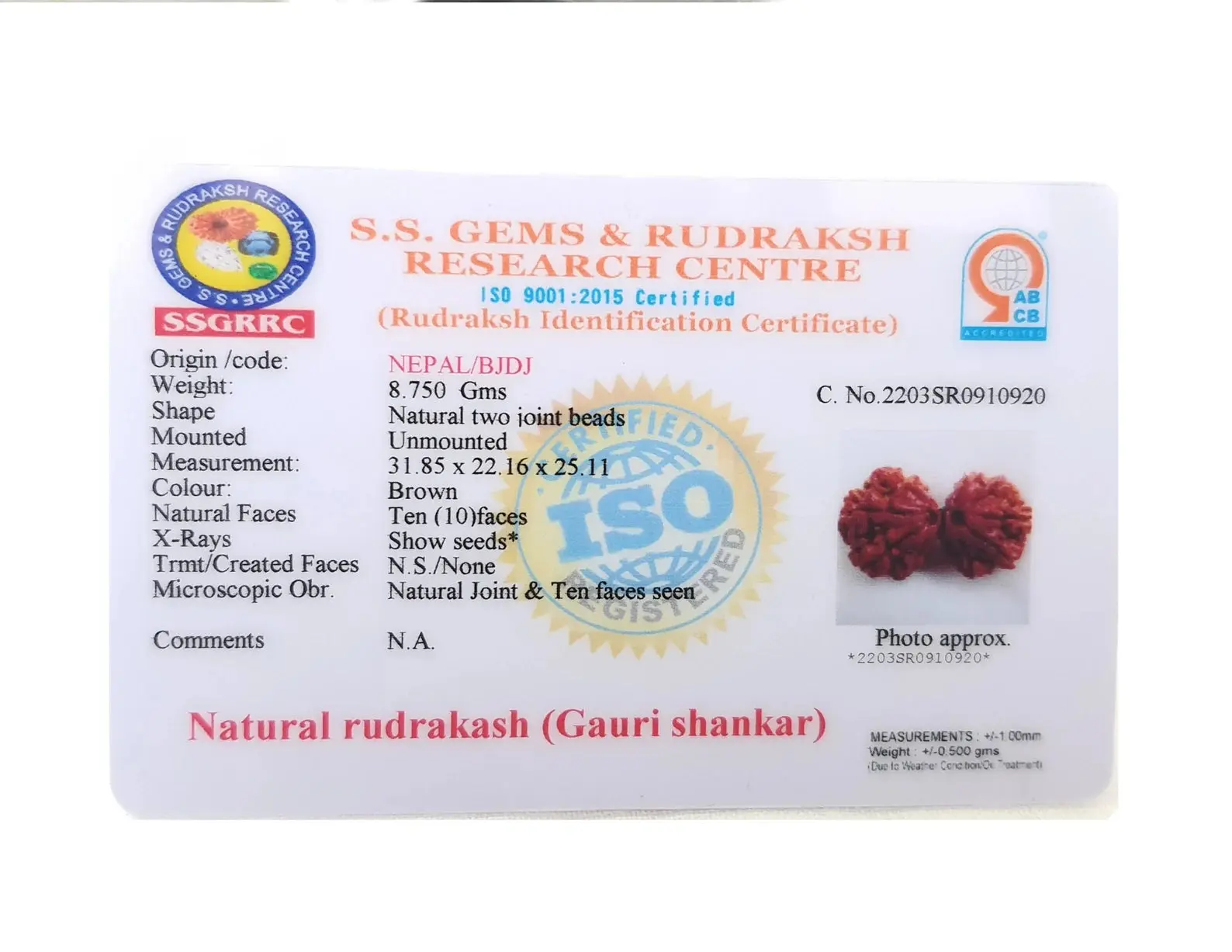 GAURI SHANKAR RUDRAKSHA (рдЧреМрд░реАрд╢рдВрдХрд░ рд░реБрджреНрд░рд╛рдХреНрд╖) - Image 3