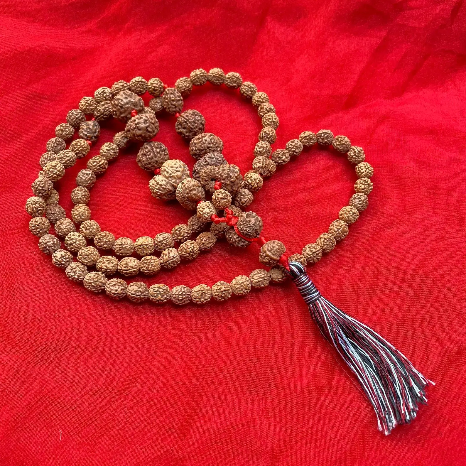 Indonesian Siddha Mala 1-14 Mukhi, - Image 3