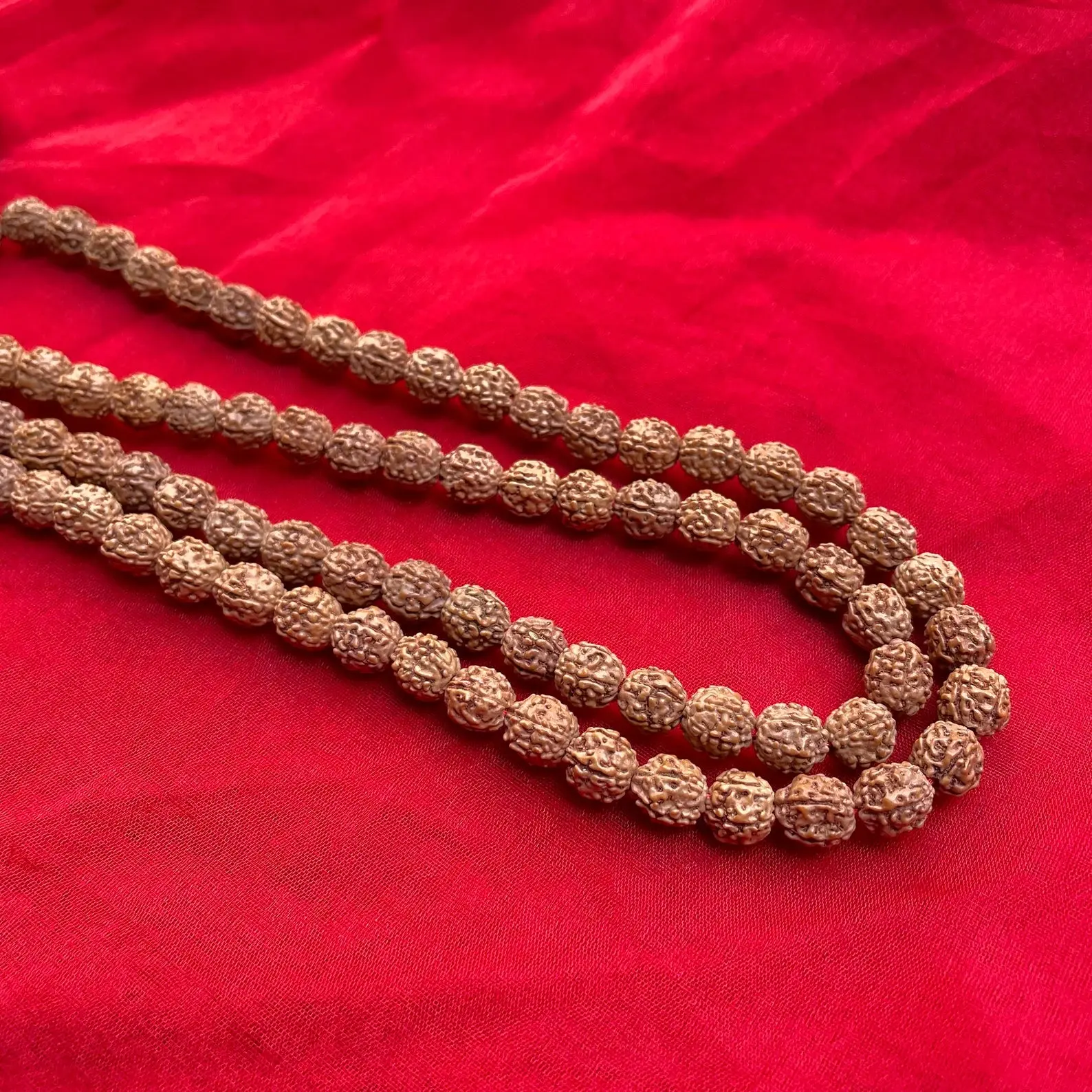 Indonesian Siddha Mala 1-14 Mukhi, - Image 4