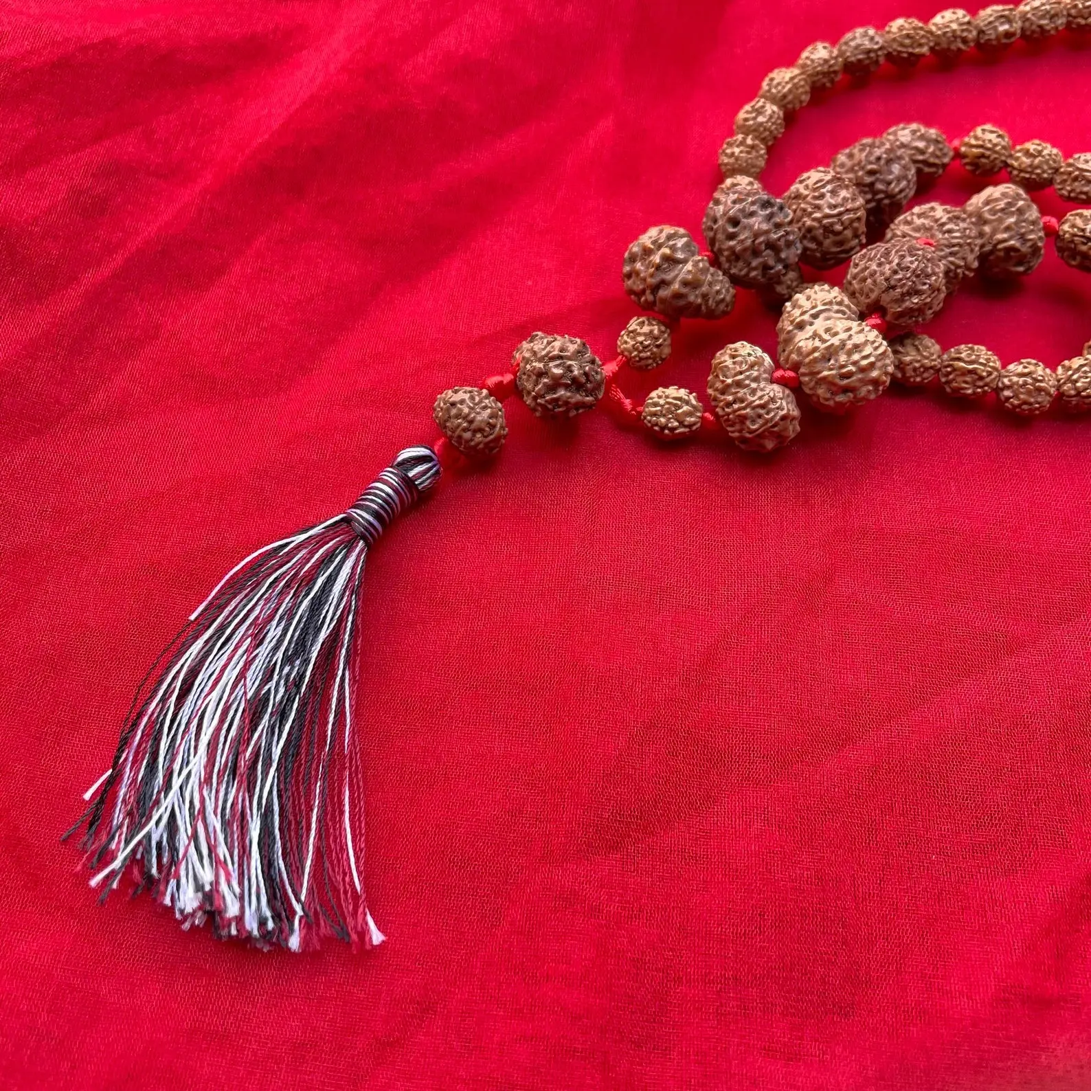 Indonesian Siddha Mala 1-14 Mukhi, - Image 7