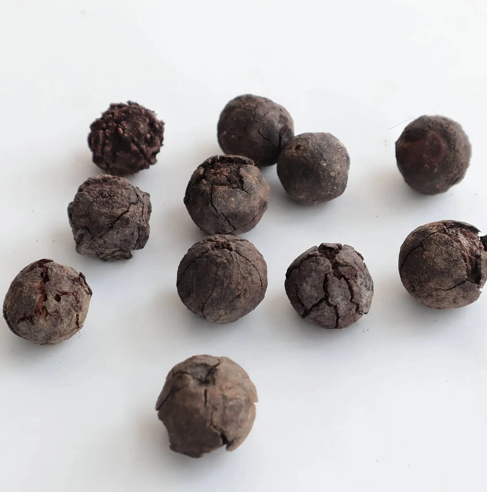 Natural Rudraksha Seeds/Fruit | 100% Real Rudraksha Seeds HandPicked in Nepal - Image 4