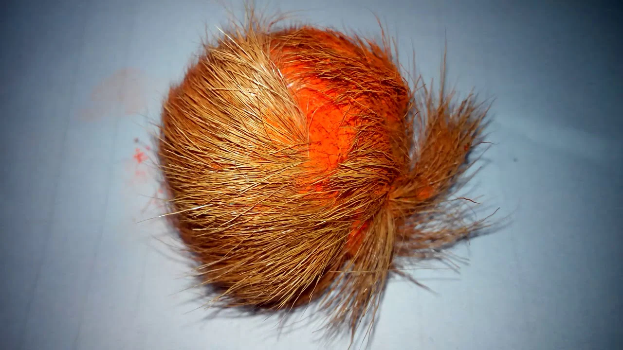 Original Kasturi (Pure Natural Musk) for Money Attraction, Tantra & Puja - Image 4