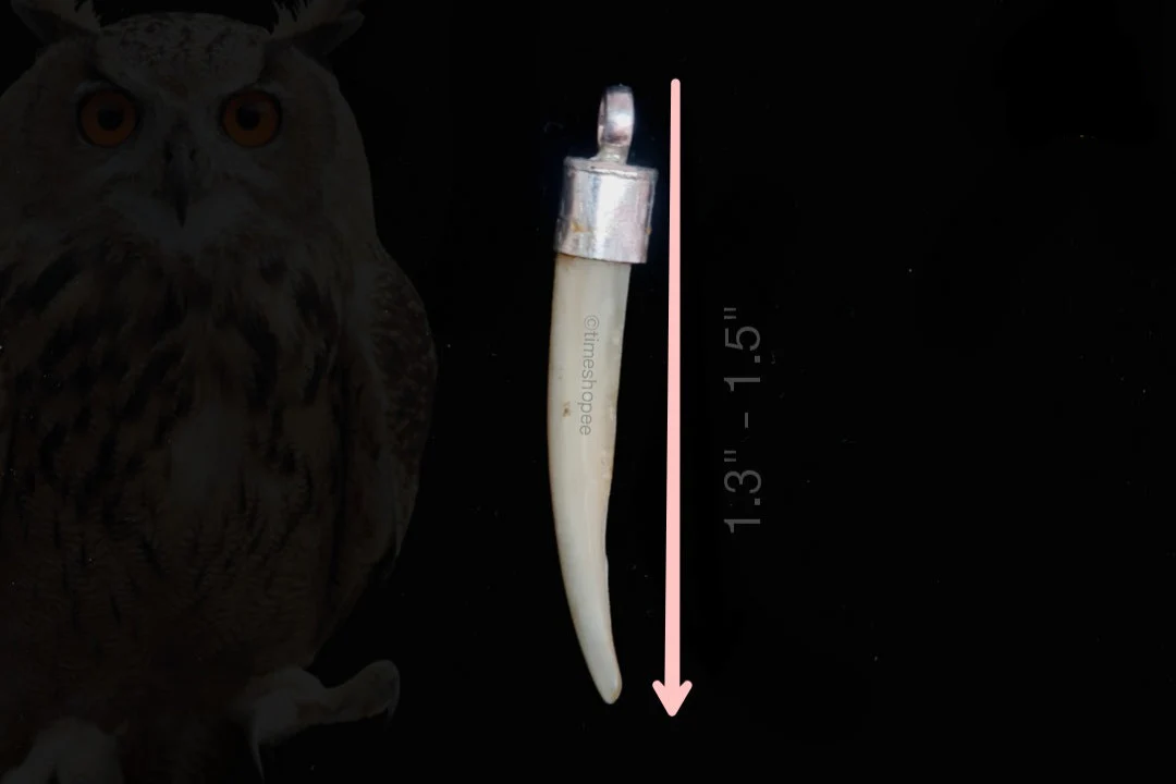Original Owl Nail: Bring Luck, Wealth, and Prosperity with Silver Pendant Ullu Ke Nakhun - Image 3