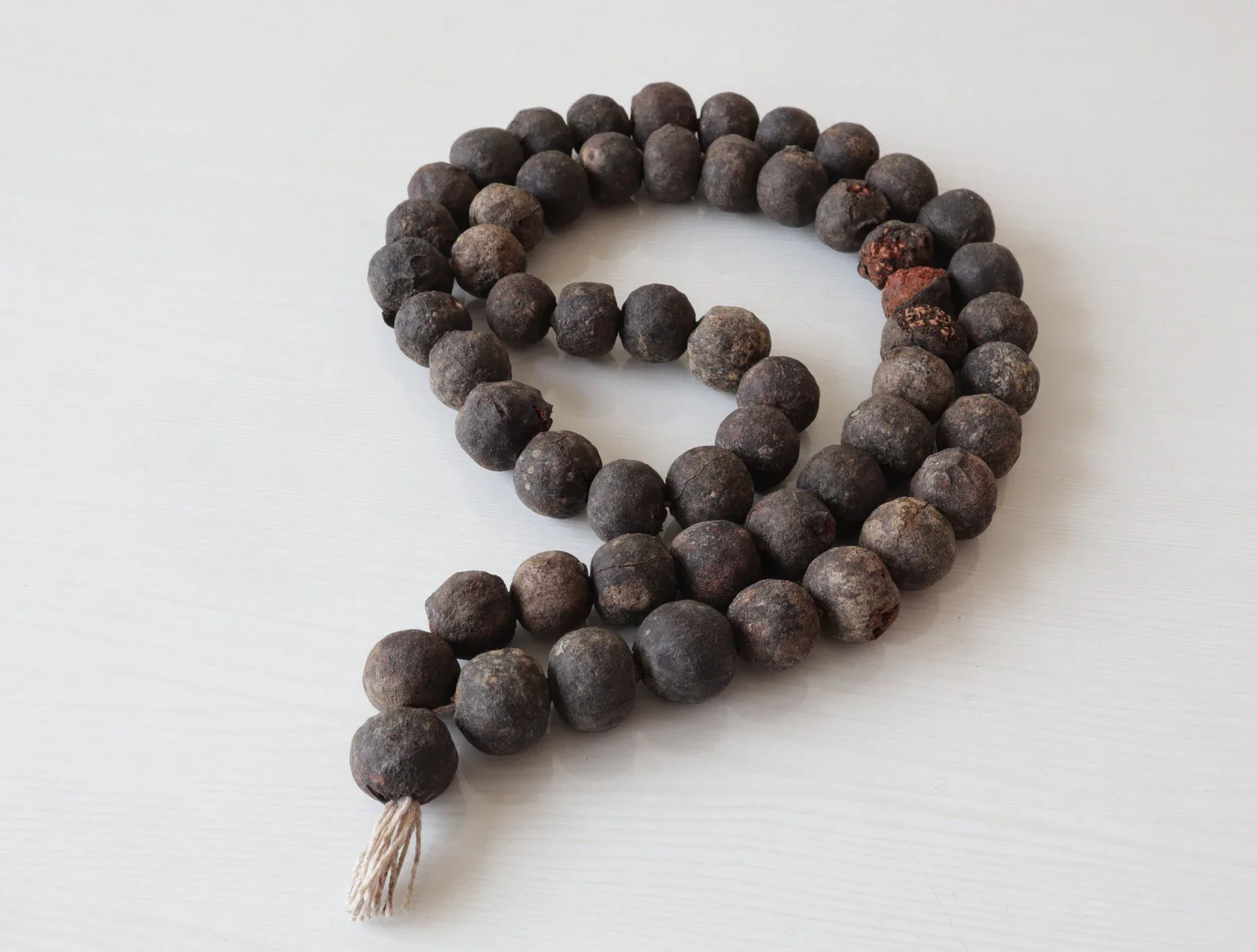 Natural Rudraksha Fruit Mala – 54/108 Beads for Meditation & Healing - Image 3