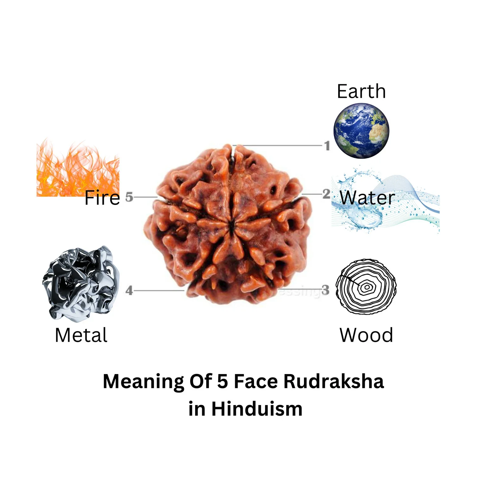 Natural Rudraksha Fruit Mala – 54/108 Beads for Meditation & Healing - Image 5