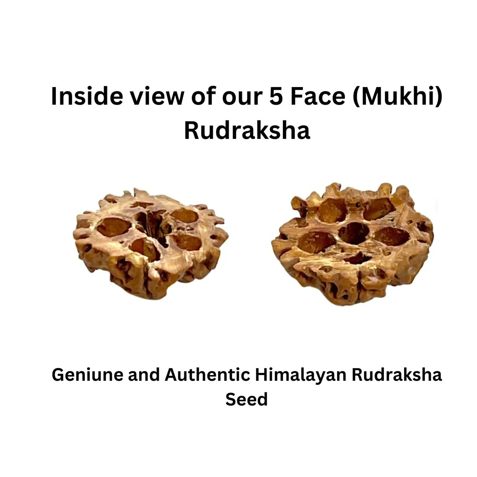 Natural Rudraksha Fruit Mala – 54/108 Beads for Meditation & Healing - Image 6