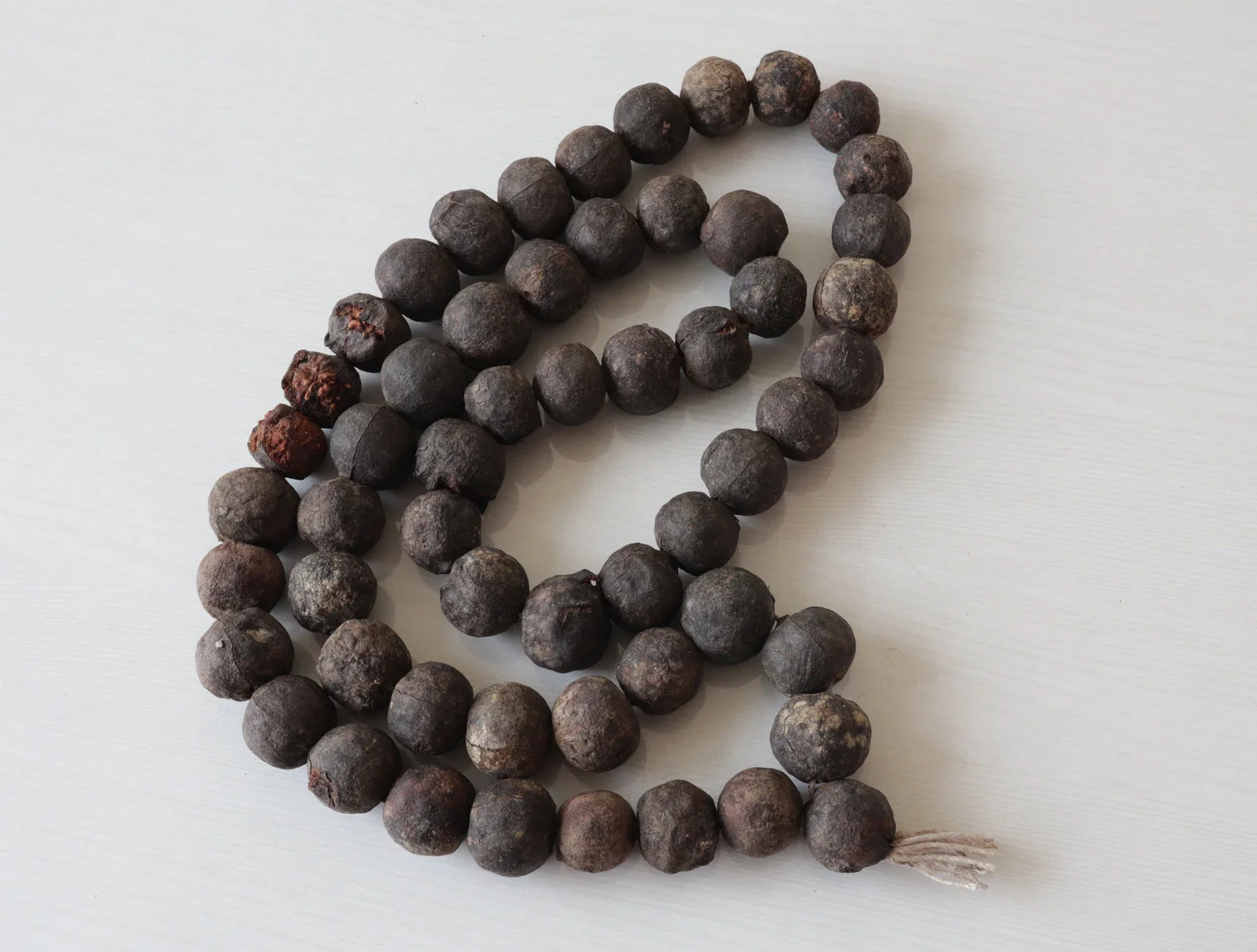 Natural Rudraksha Fruit Mala – 54/108 Beads for Meditation & Healing - Image 7