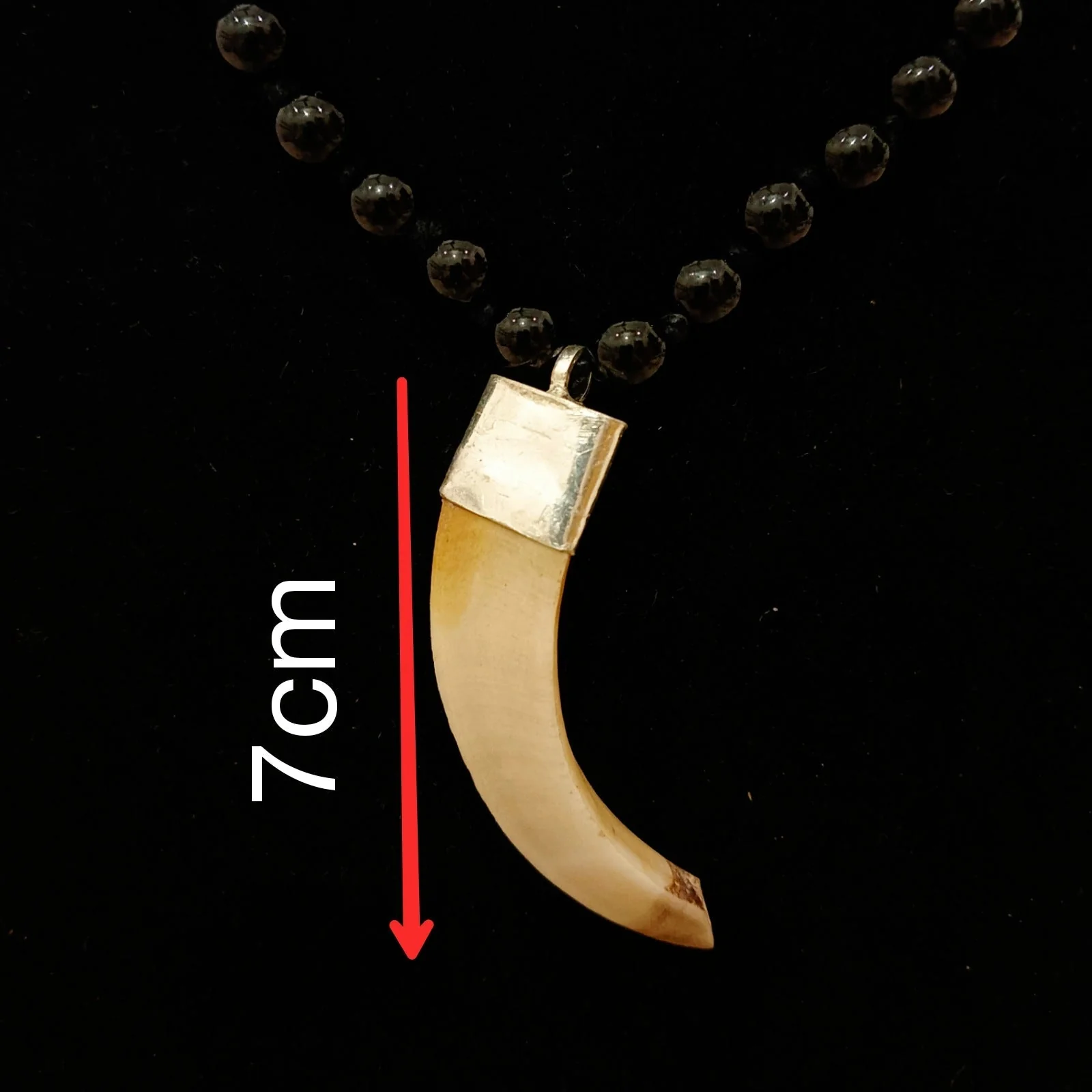 Shukar Dant Energized in Silver Locket | Lab Certified | - Image 14