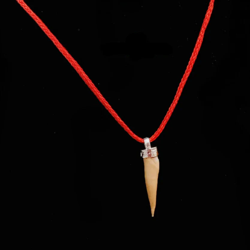 Shukar Dant Energized in Silver Locket | Lab Certified | - Image 20