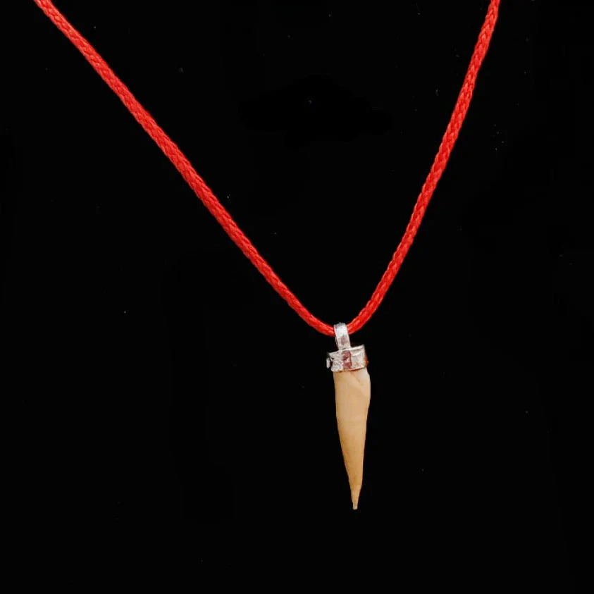 Shukar Dant Energized in Silver Locket | Lab Certified | - Image 22