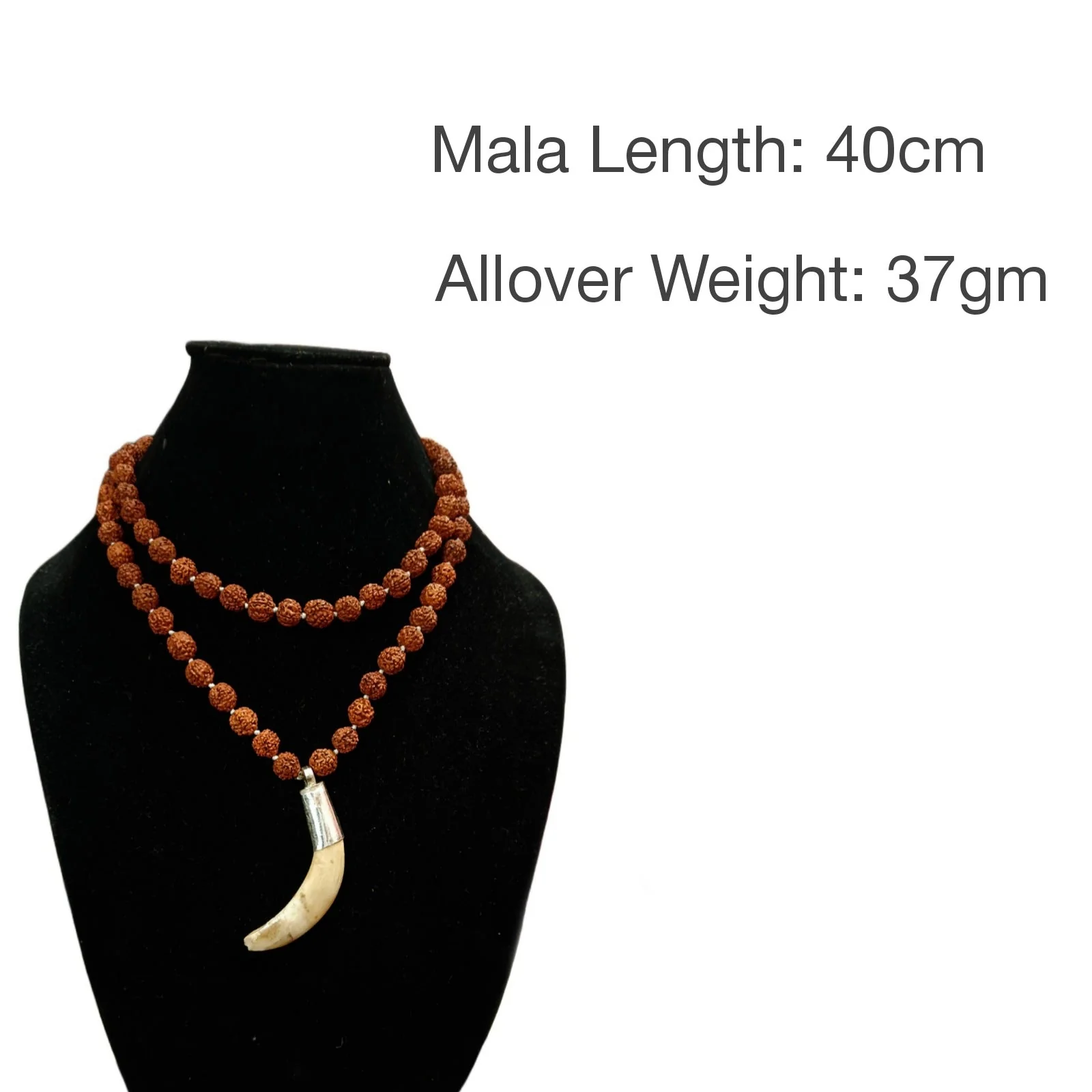 Shukar Dant Energized in Silver Locket | Lab Certified | - Image 36