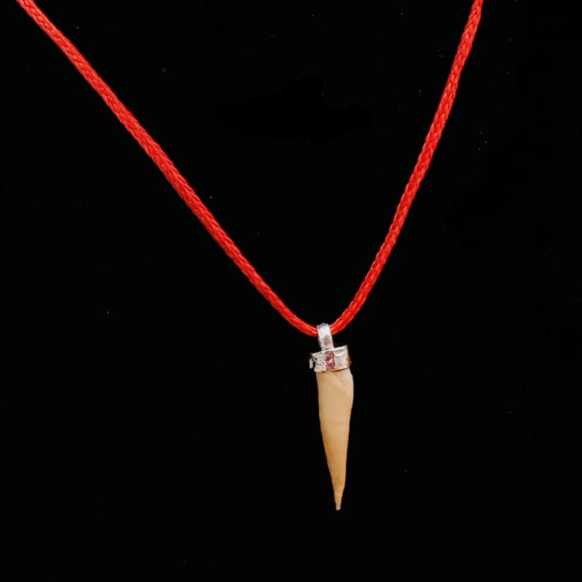 Shukar Dant Energized in Silver Locket | Lab Certified | - Image 41