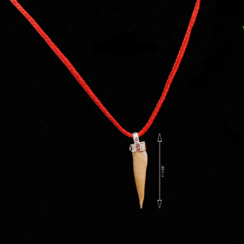 Shukar Dant Energized in Silver Locket | Lab Certified | - Image 42