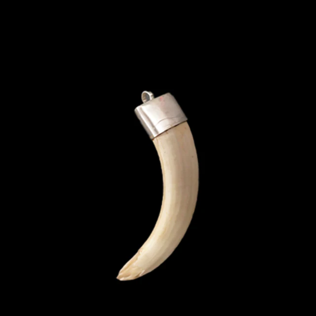 Shukar Dant Energized in Silver Locket | Lab Certified | - Image 43