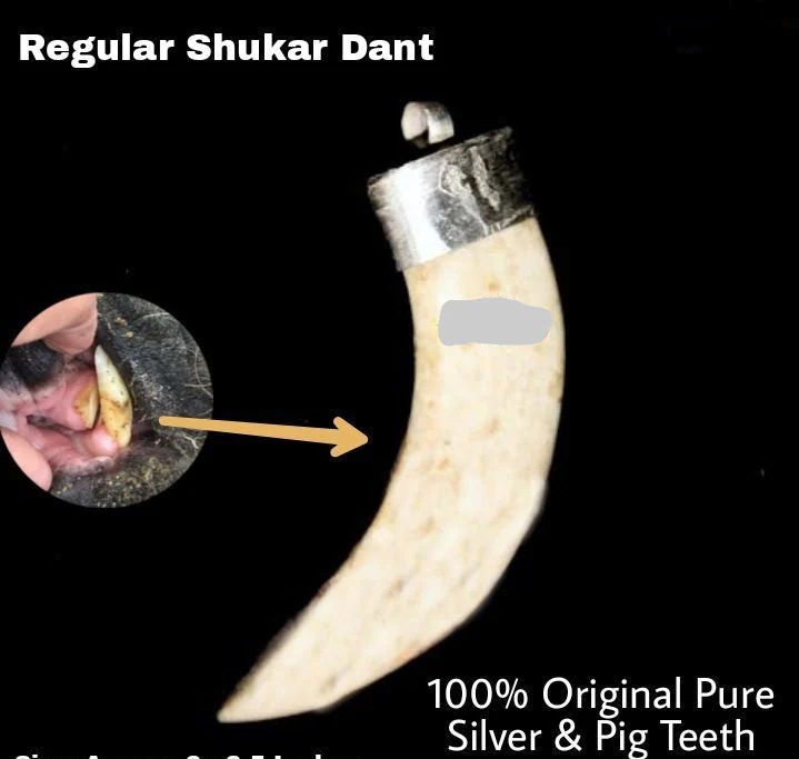 Shukar Dant Energized in Silver Locket | Lab Certified | - Image 44